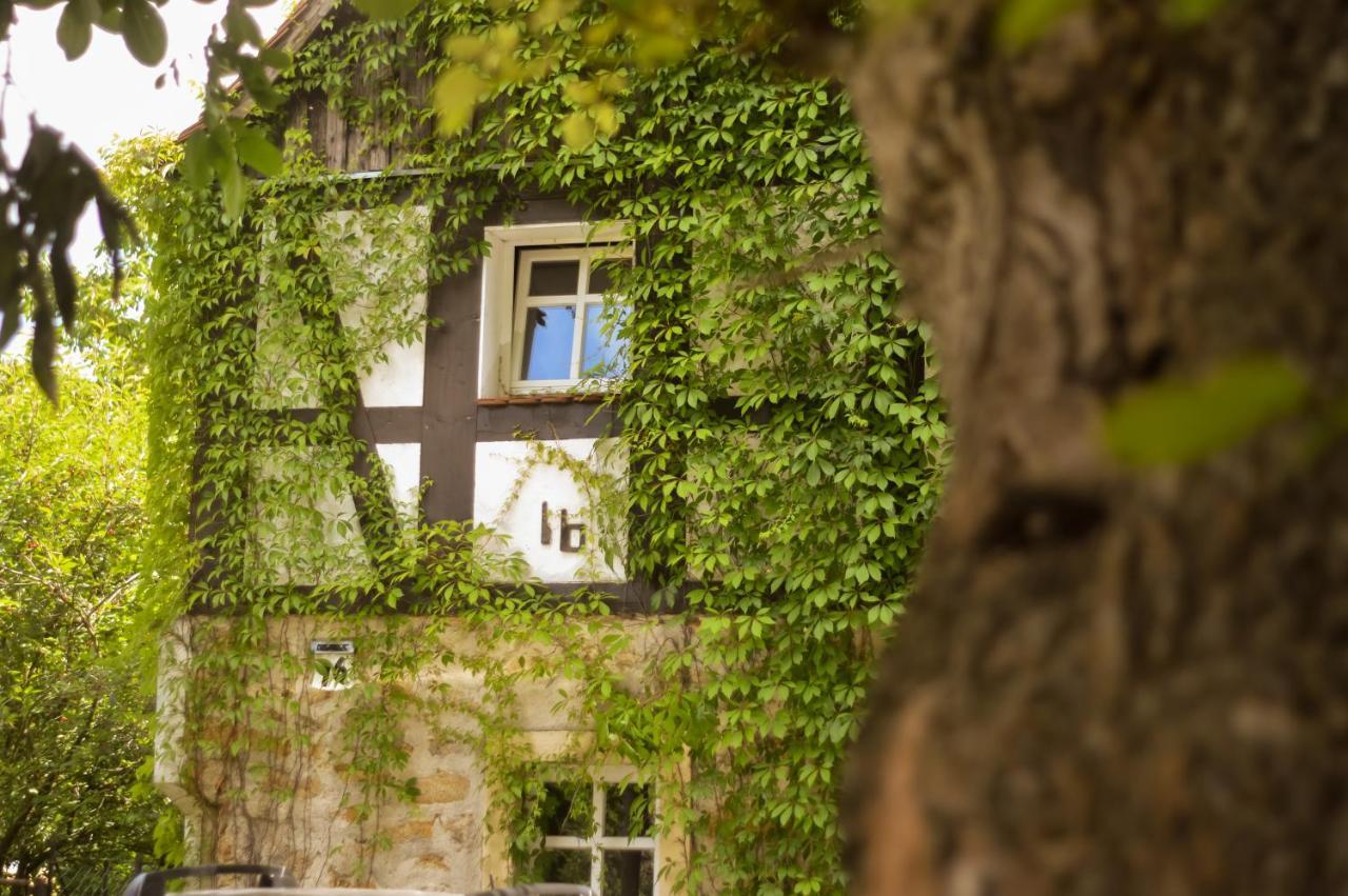 Naturferienwohnung Schopstal Kunnersdorf Luaran gambar