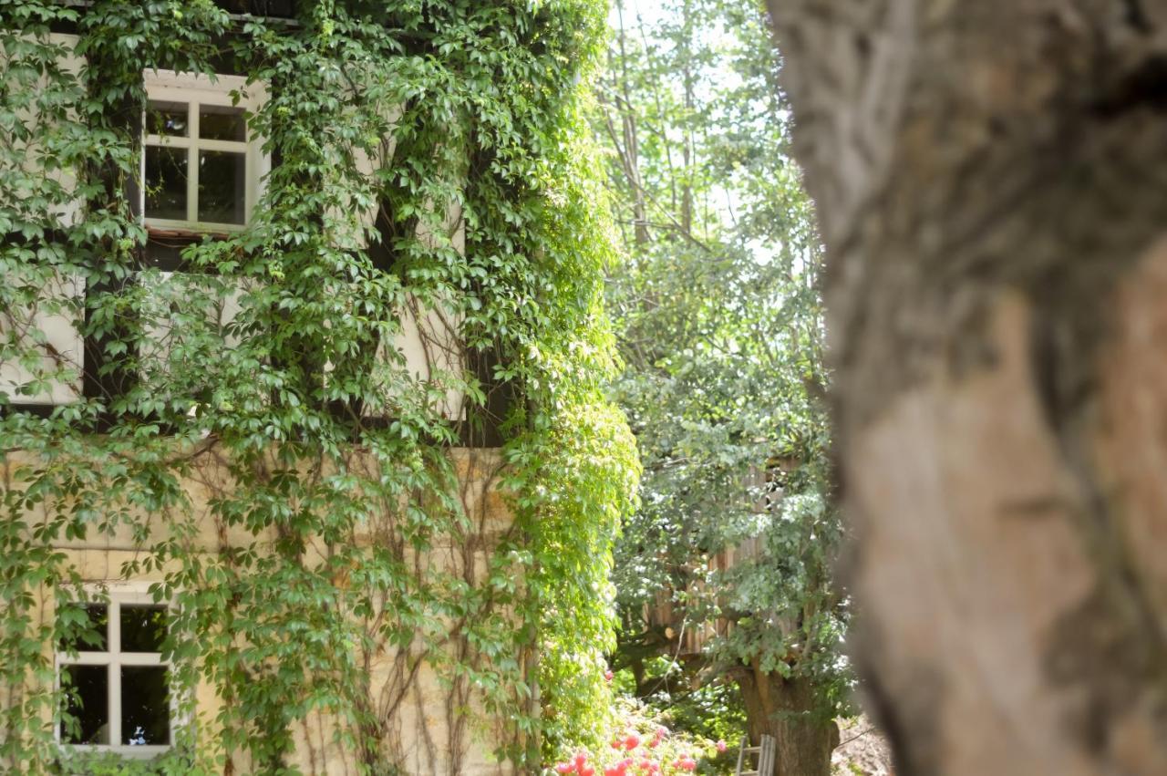 Naturferienwohnung Schopstal Kunnersdorf Luaran gambar