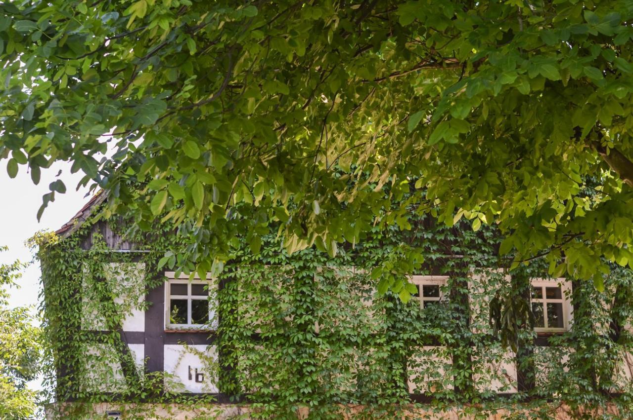 Naturferienwohnung Schopstal Kunnersdorf Luaran gambar